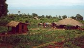 Malawi