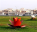 Photo of Al Khor