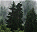 Photo of Ardennes
