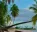Photo of Aur Atoll