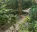 Photo of Barbados Wildlife Reserve