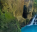 Photo of Bassin Blue