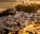 Photo of Casares de las Hurdes