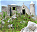 Photo of Cat Island