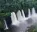 Photo of Cross River National Park