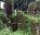 Photo of Elobey Islands