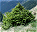 Photo of Fagaras Mountains