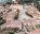 Photo of Fiesole