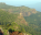 Photo of Foroconia