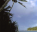 Photo of Funafuti Marine Conservation Area