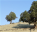 Photo of Garlyk Sanctuary