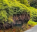 Photo of Grand Etang Road