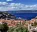 Photo of Hydra
