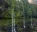 Photo of Ikom