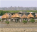 Photo of Joal-Fadiouth