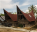 Photo of Karo Batak Highlands