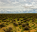 Photo of Karoo