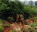 Photo of Klipriviersberg Nature Reserve
