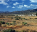 Photo of La Oliva