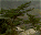 Photo of Lao Shan