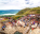 Photo of Lonar