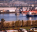 Photo of Longview