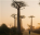 Photo of Morondava