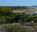 Photo of Mutirikwe Recreational Park