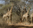 Photo of Ndumo Game Reserve