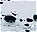 Photo of Nootka Sound