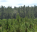 Photo of Parc National Forêt des Pines