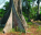 Photo of Parc National de la Basse Casamance