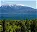 Photo of Parque Nacional Alerce Andino
