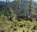Photo of Parque Nacional José del Carmen Ramírez
