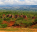 Photo of Parque Nacional Sierra de Bahoruco