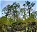 Photo of Reserva Nacional Llanquihue