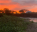 Photo of Rungwa Game Reserve