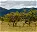 Photo of Rupununi Savannah