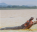 Photo of Saint Lucia Park and Game Reserve