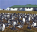 Photo of Sea Lion Island