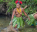 Photo of Siberut Island