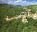 Photo of Sun City