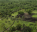 Photo of Talietumu