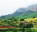 Photo of Thohoyandou