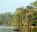 Photo of Tiwai Island Wildlife Sanctuary