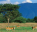 Photo of Toro Semliki Wildlife Reserve