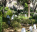 Photo of Trafalgar Cemetery