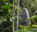 Photo of Vallée de Mai