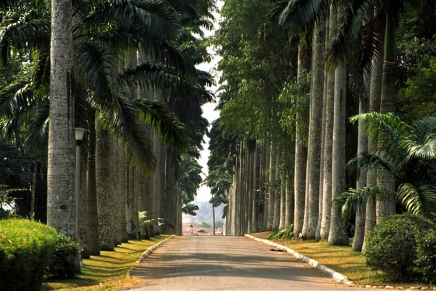 Aburi Botanical Gardens
