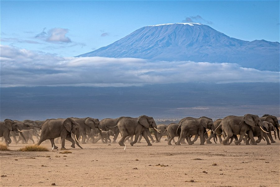 Mount Kilimanjaro &copy;Erwin Gerber